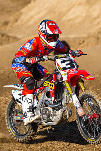 Eli Tomac #3 Geico Honda Replica Front Number plate